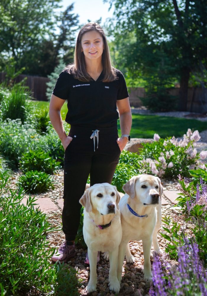 AnnieandDogs